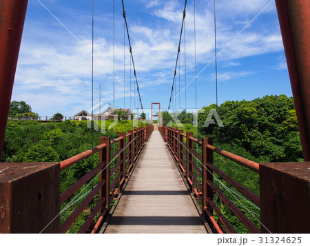 錦江台展望公園スカイぱれっと 錦江台展望公園スカイぱれっと 31324625