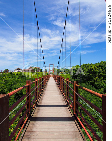 錦江台展望公園スカイぱれっと 錦江台展望公園スカイぱれっと 31324626