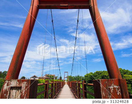 錦江台展望公園つばきの森の橋 錦江台展望公園つばきの森の橋 31324628