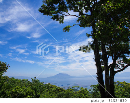 錦江台展望公園より桜島を望む 31324630