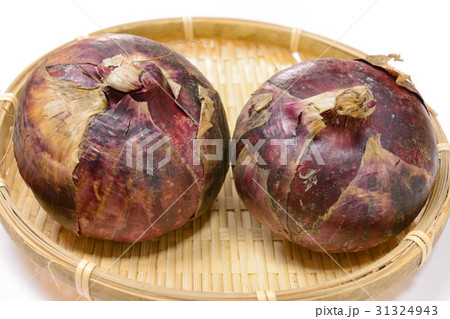 おいしい紫たまねぎ 31324943