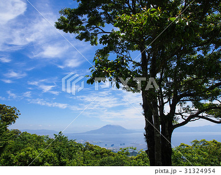 錦江台展望公園より桜島を望む 錦江台展望公園より桜島を望む 31324954