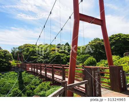 錦江台展望公園つばきの森の橋 31324965