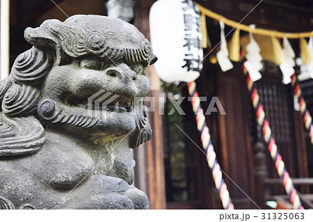 神社の狛犬と拝殿正面 31325063