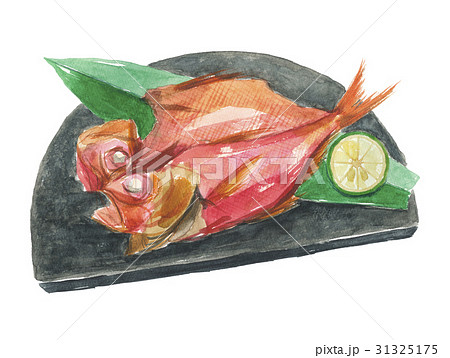 金目鯛の干物のイラスト素材 [31325175] - PIXTA