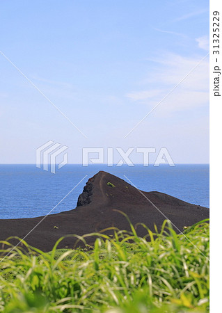 三宅島 新鼻新山 三宅島 新鼻新山 31325229