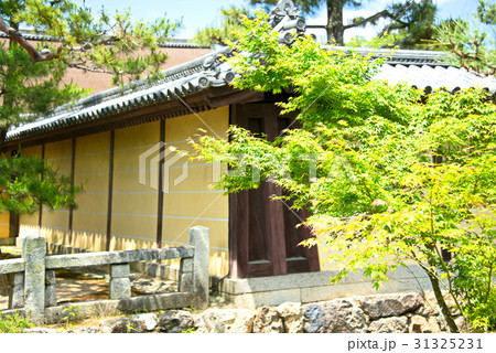 大覚寺 大覚寺 31325231