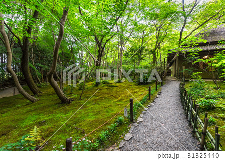 京都 嵯峨野 祇王寺 京都 嵯峨野 祇王寺 31325440