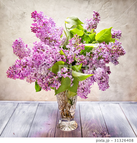 26,091 Still Life Lilac Images, Stock Photos, 3D objects