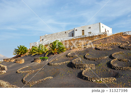 Volcanic landscape of Lanzarote, Canary, Spain 31327396