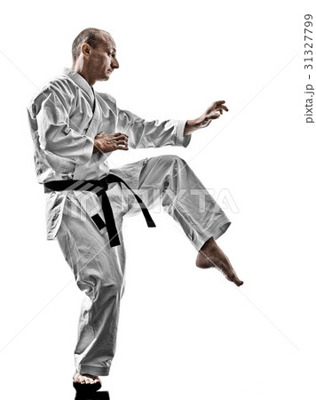 karate man training isolated 31327799