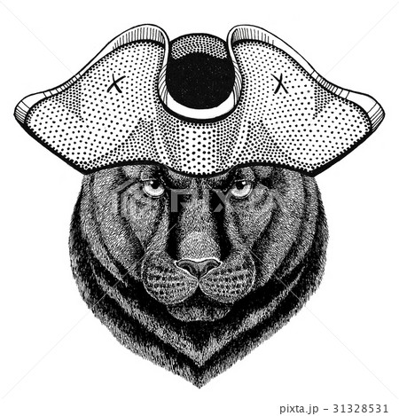 Panther Puma Cougar Wild cat wearing pirate hat Panther Puma Cougar Wild cat wearing pirate hat 31328531