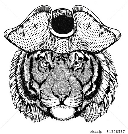 Wild tiger wearing pirate hat Cocked hat, tricorn Wild tiger wearing pirate hat Cocked hat, tricorn 31328537
