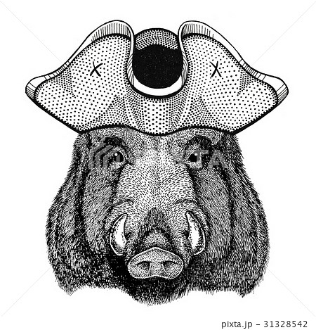 Aper, boar, hog, hog, wild boar wearing pirate hat 31328542
