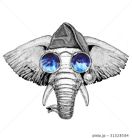 African or indian Elephant wearing christmas hat African or indian Elephant wearing christmas hat 31328584