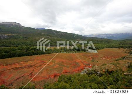 Autumn colored landscape along the road to Puerto 31328923