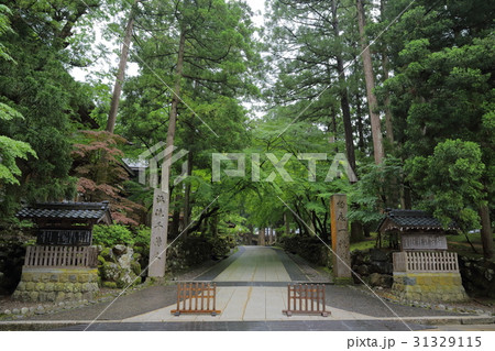 永平寺 参道 永平寺 参道 31329115