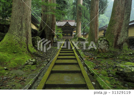 永平寺　唐門（勅使門） 31329119