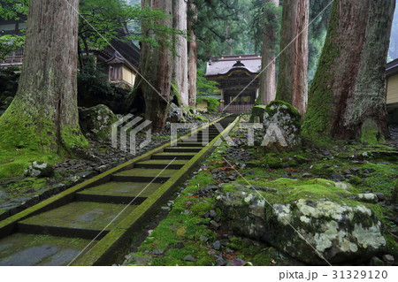 永平寺 唐門(勅使門) 永平寺 唐門(勅使門) 31329120