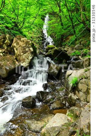 大尾不動滝 31330546