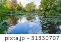 summer lake with water-lily flowers on blue water 31330707