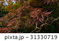 Colorful foliage in the autumn park Autumn leaves 31330719