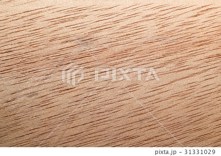 Wood Texture Wood Texture 31331029