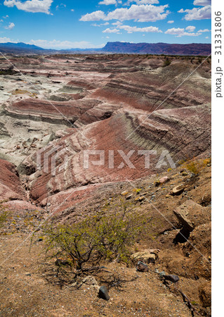 Stony landscape in Ischigualasto Provincial Park Stony landscape in Ischigualasto Provincial Park 31331806