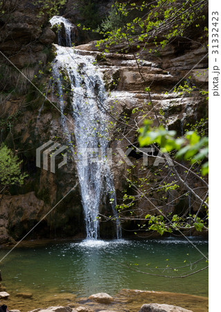 Pure mountain creek with green water 31332423
