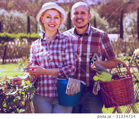 Senior couple working in the garden. 31334714