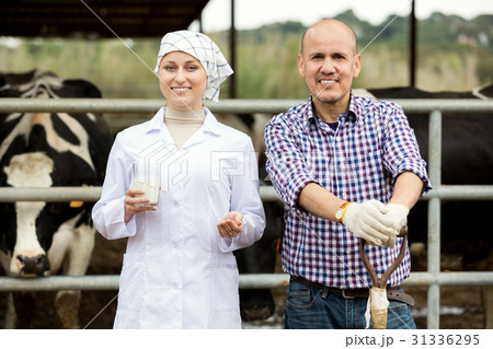 Female veterinarian talking to farm worker in cowshed Female veterinarian talking to farm worker in cowshed 31336295