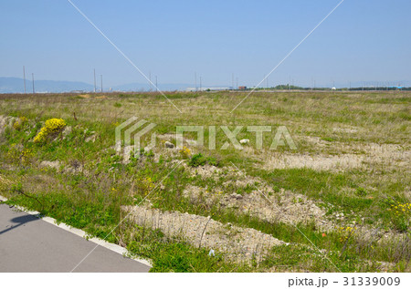 夢洲(IR予定地) 夢洲(IR予定地) 31339009