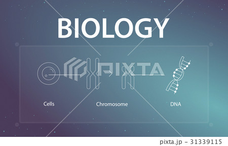Science biology cells chromosomes DNA illustration 31339115