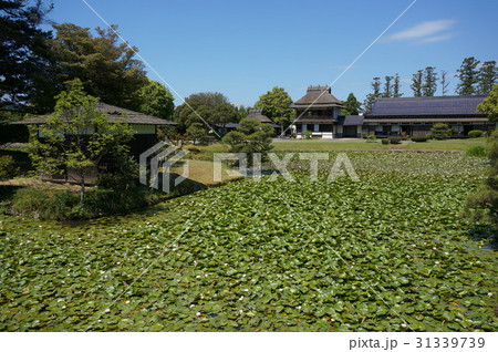 岡山県津山市にある回遊式日本庭園「衆楽園」:左に清涼軒、池向こうに余芳閣 岡山県津山市にある回遊式日本庭園「衆楽園」:左に清涼軒、池向こうに余芳閣 31339739