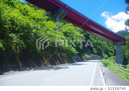 初夏の高見峠 31339740