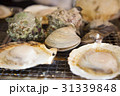 浜焼き 31339848