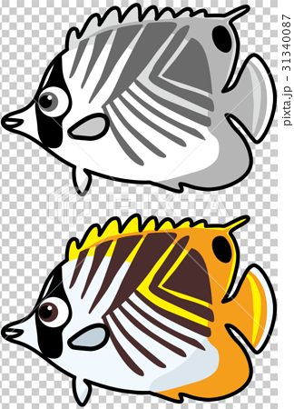 熱帯魚チョウチョウウオ カラー モノクロのイラスト素材