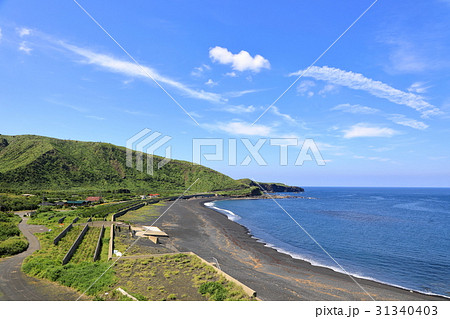 ５月の三宅島の海岸 31340403