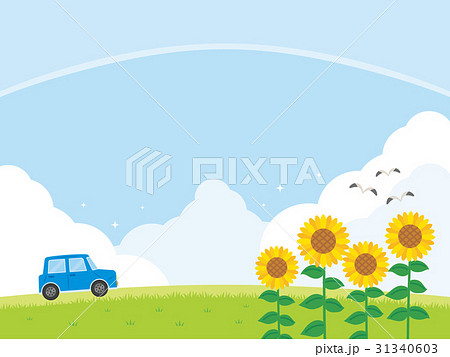 夏の風景 夏の風景 31340603