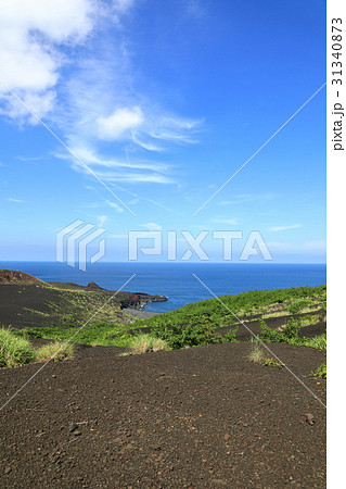 噴火跡が残る三宅島と海 31340873