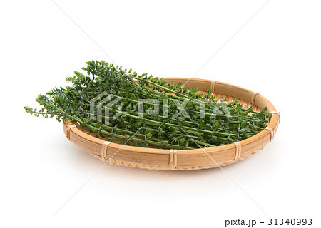 シソの実 31340993