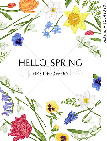 Botanical card with spring flowers. Botanical card with spring flowers. 31342390