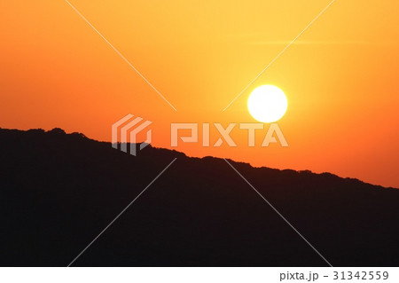 夕日 31342559