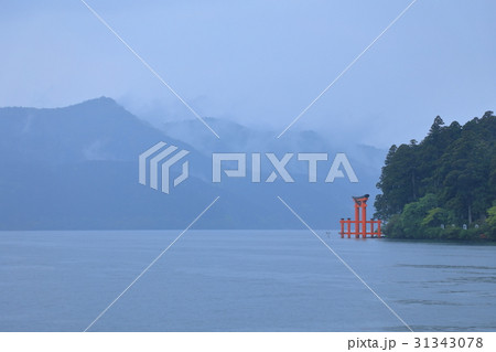 芦ノ湖 九頭竜神社 鳥居 芦ノ湖 九頭竜神社 鳥居 31343078