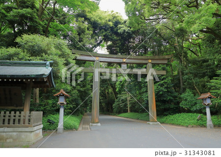 明治神宮の鳥居 31343081
