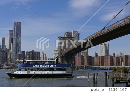 ブルックリン・ブリッジ　ニューヨーク 31344167