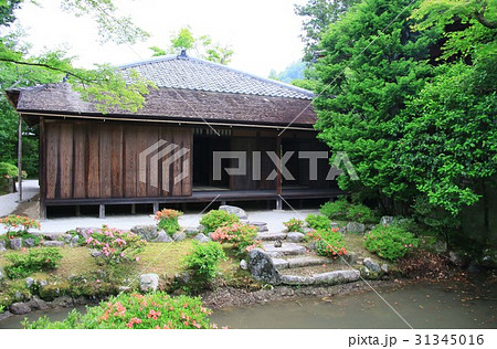 修学院離宮 31345016