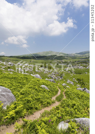 平尾台 平尾台 31345202