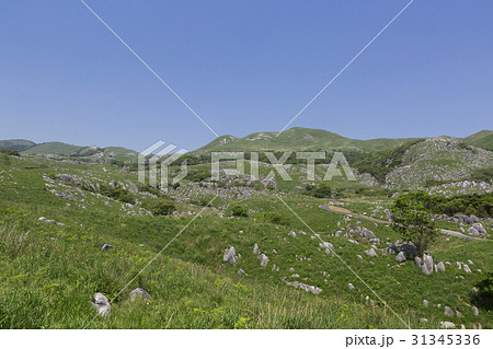 平尾台 平尾台 31345336