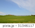 トスカーナの景色 31346117